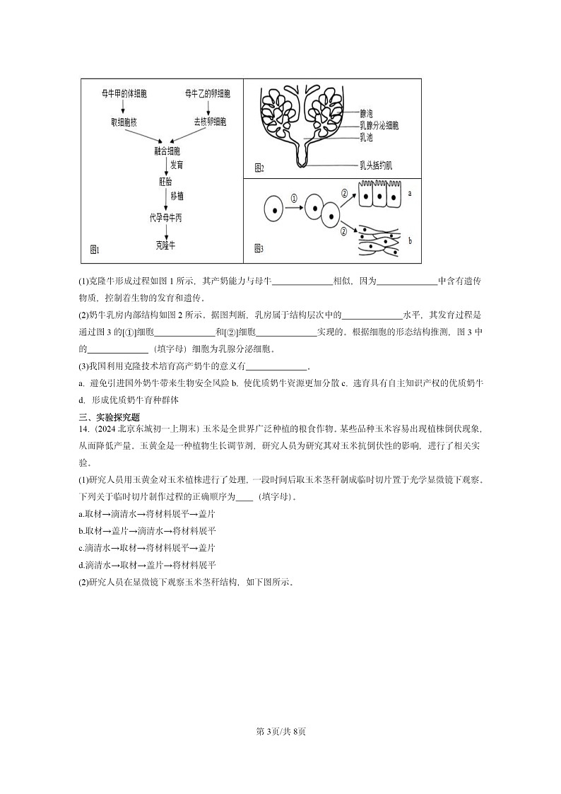 [生物]2024北京重點校初一上學(xué)期期末真題分類匯編：細胞怎樣構(gòu)成體章節(jié)綜合第3頁