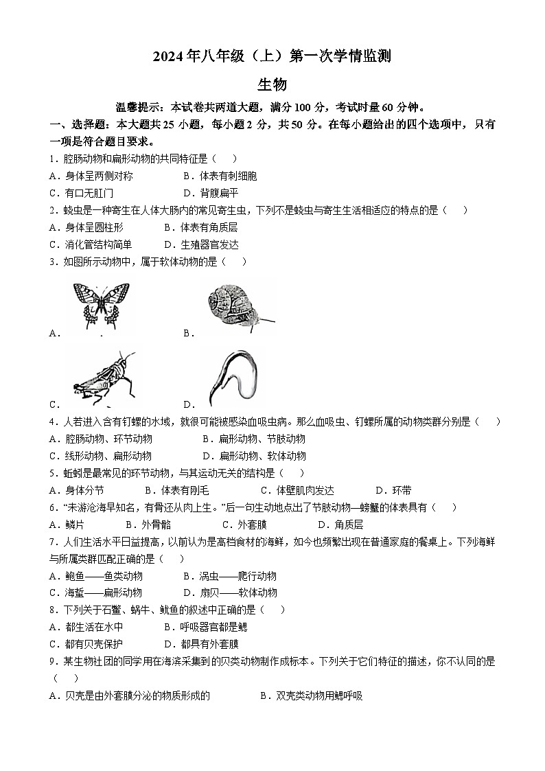 湖南省邵阳市邵东市2024-2025学年八年级上学期10月月考生物试题01