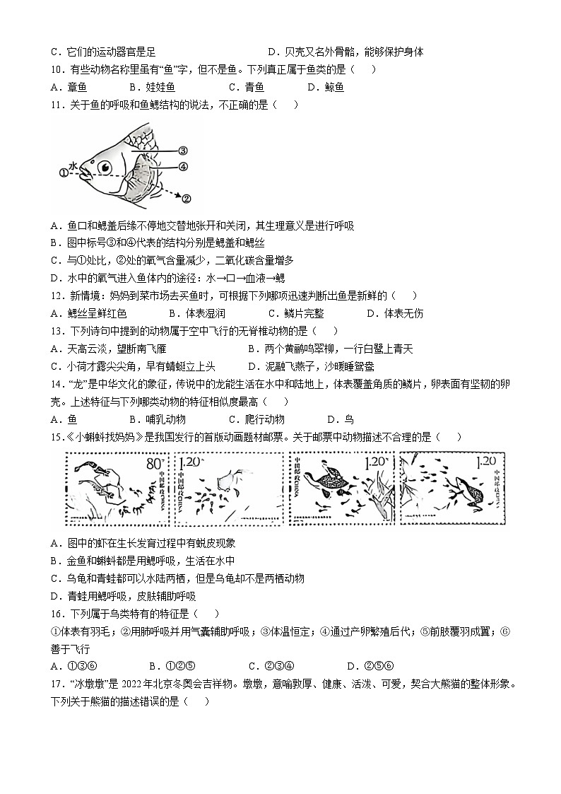 湖南省邵阳市邵东市2024-2025学年八年级上学期10月月考生物试题02