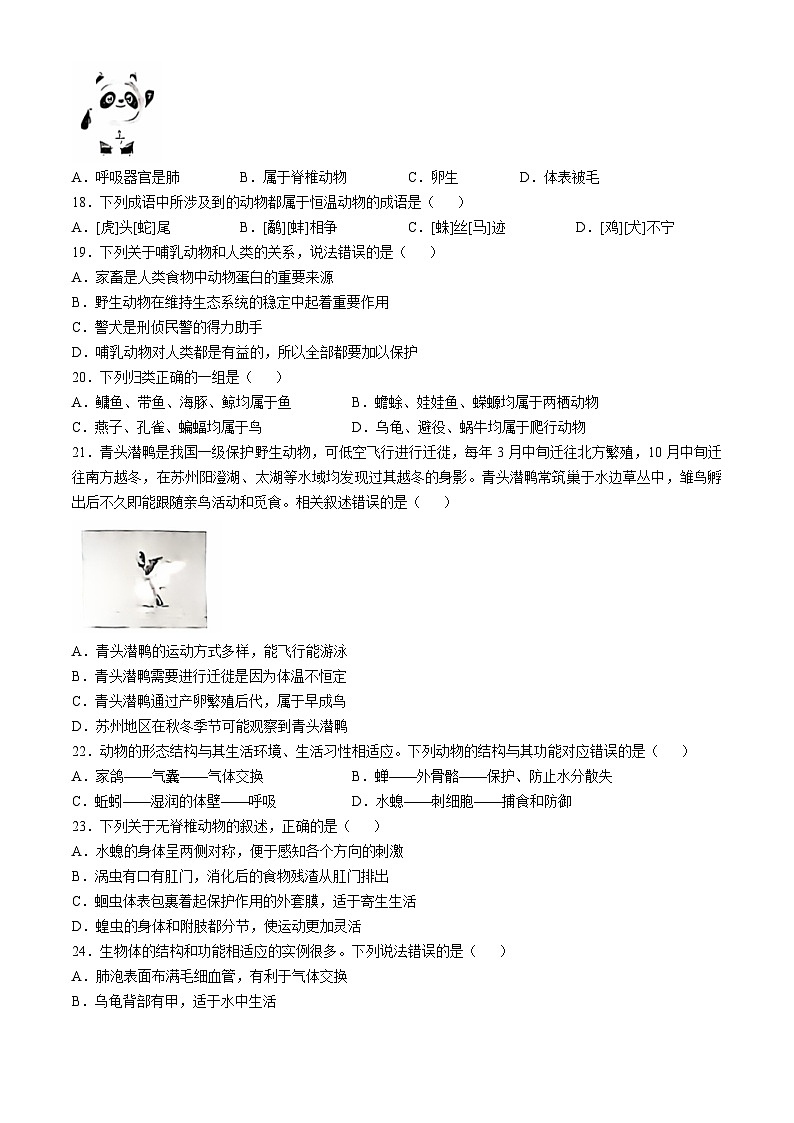 湖南省邵阳市邵东市2024-2025学年八年级上学期10月月考生物试题03