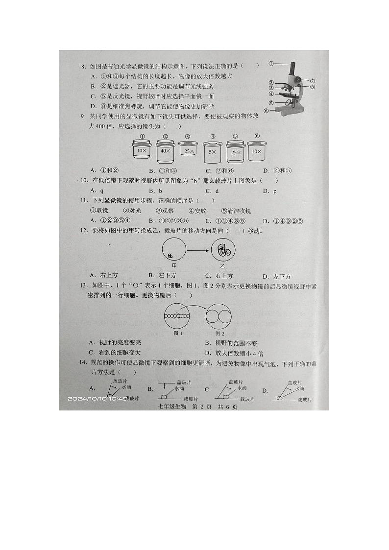 山东省金乡县2024-2025学年七年级上学期10月月考生物试题第2页