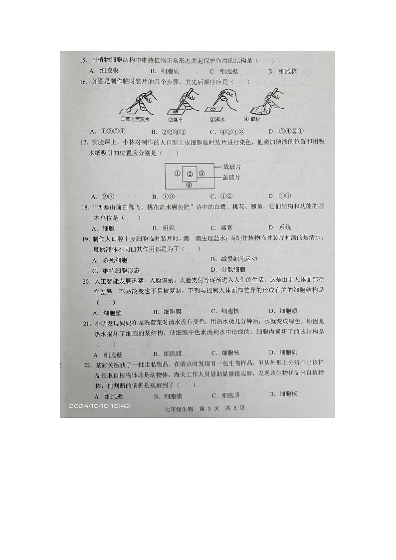 山东省金乡县2024-2025学年七年级上学期10月月考生物试题第3页