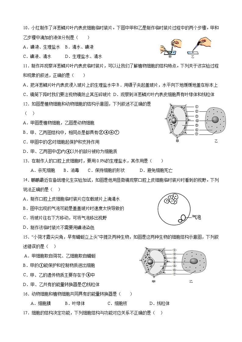 山东省聊城市莘县翔宇学校2024-2025学年七年级上学期10月月考生物试题第2页