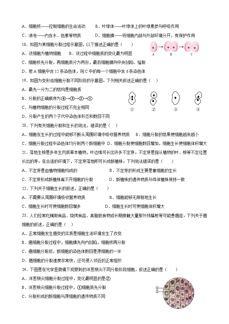 山东省聊城市莘县翔宇学校2024-2025学年七年级上学期10月月考生物试题第3页