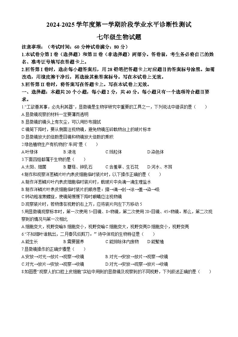 山东省青岛市即墨区实验学校2024-2025学年七年级上学期第一学期阶段学业水平诊断性测试生物试题(无答案)