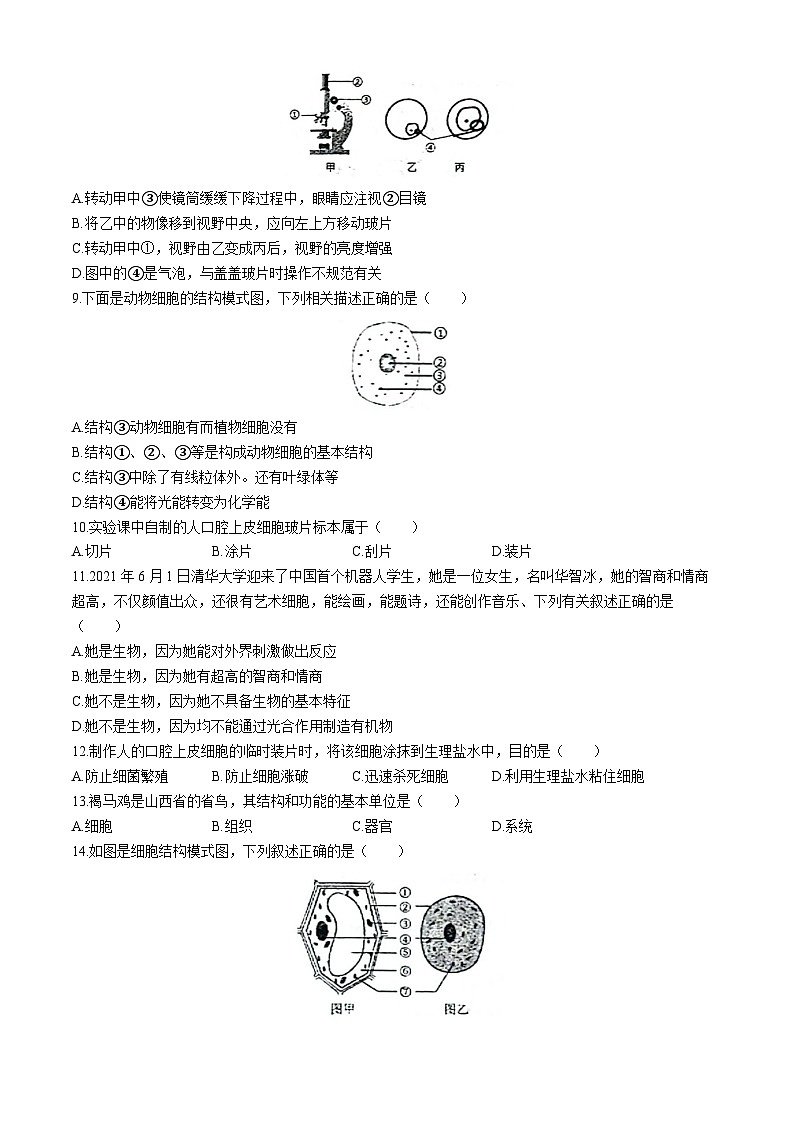 山东省青岛市即墨区实验学校2024-2025学年七年级上学期第一学期阶段学业水平诊断性测试生物试题(无答案)第2页