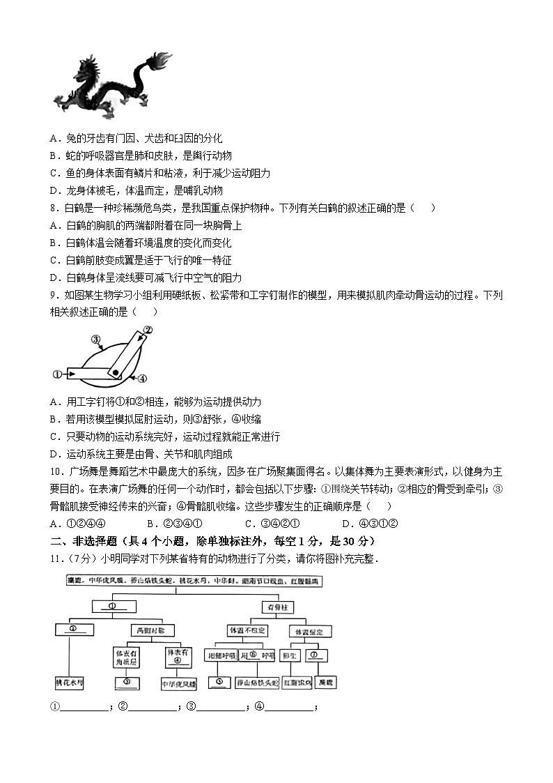 湖北省黄冈市部分学校2024--2025学年八年级上学期10月月考生物试题第2页