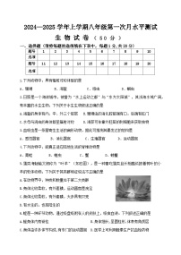 河南省新鄉(xiāng)市原陽(yáng)縣2024-2025學(xué)年八年級(jí)上學(xué)期10月月考生物試題