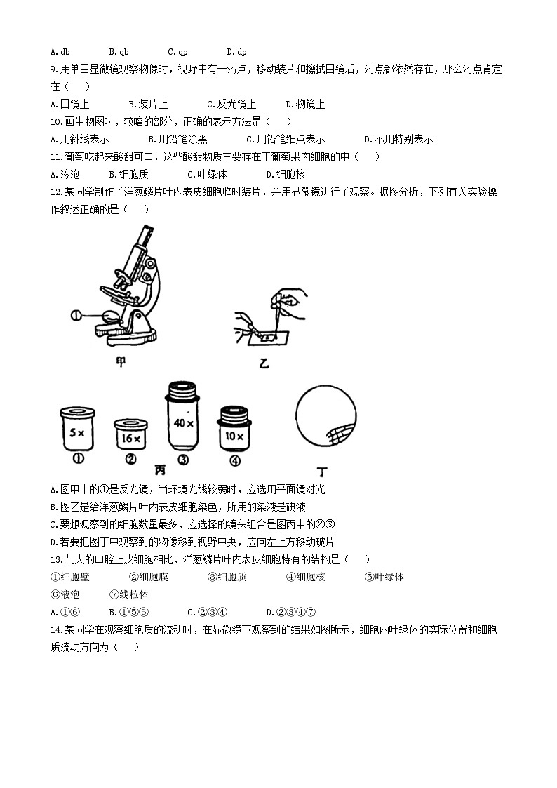山东省聊城市茌平区一中附属中学2024--2025学年七年级上学期10月份生物月考试题(无答案)第2页
