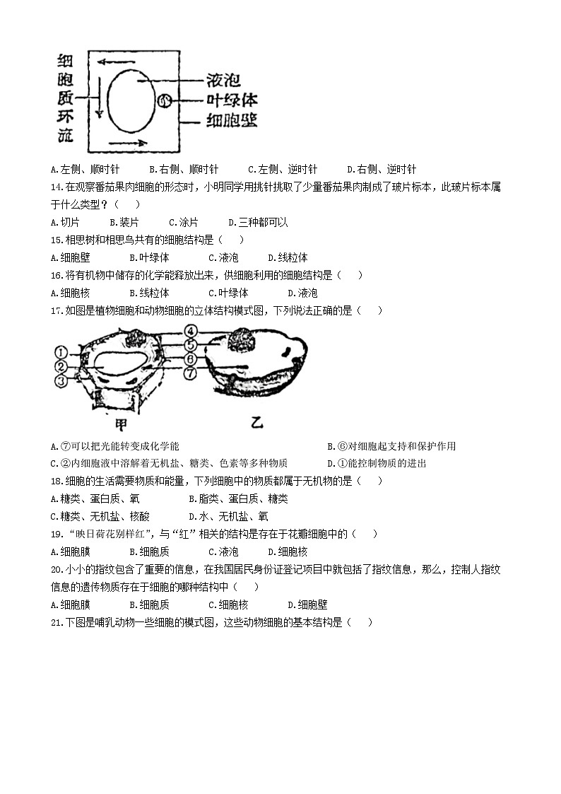 山东省聊城市茌平区一中附属中学2024--2025学年七年级上学期10月份生物月考试题(无答案)第3页