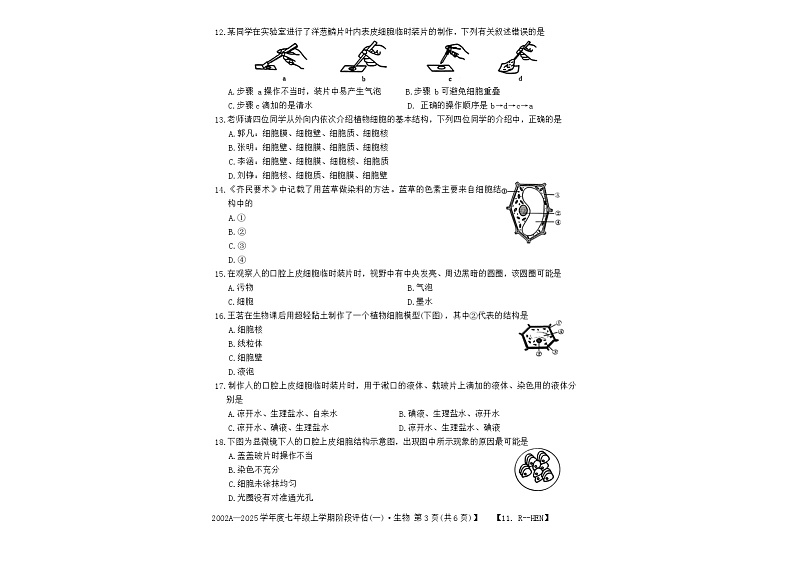 河南省南阳市方城县初中联考2024-2025学年七年级上学期10月月考生物试题第3页