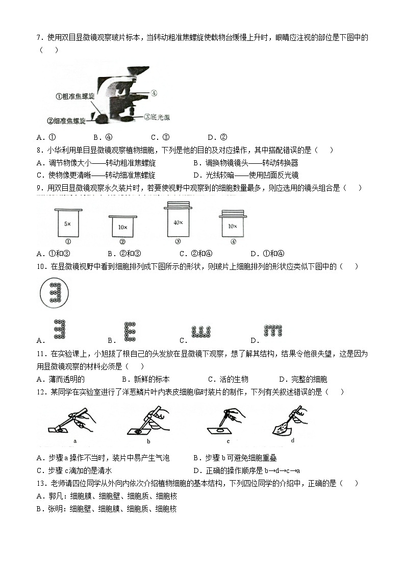 河南省南阳市方城县初中联考2024-2025学年七年级上学期10月月考生物试题(无答案)第2页