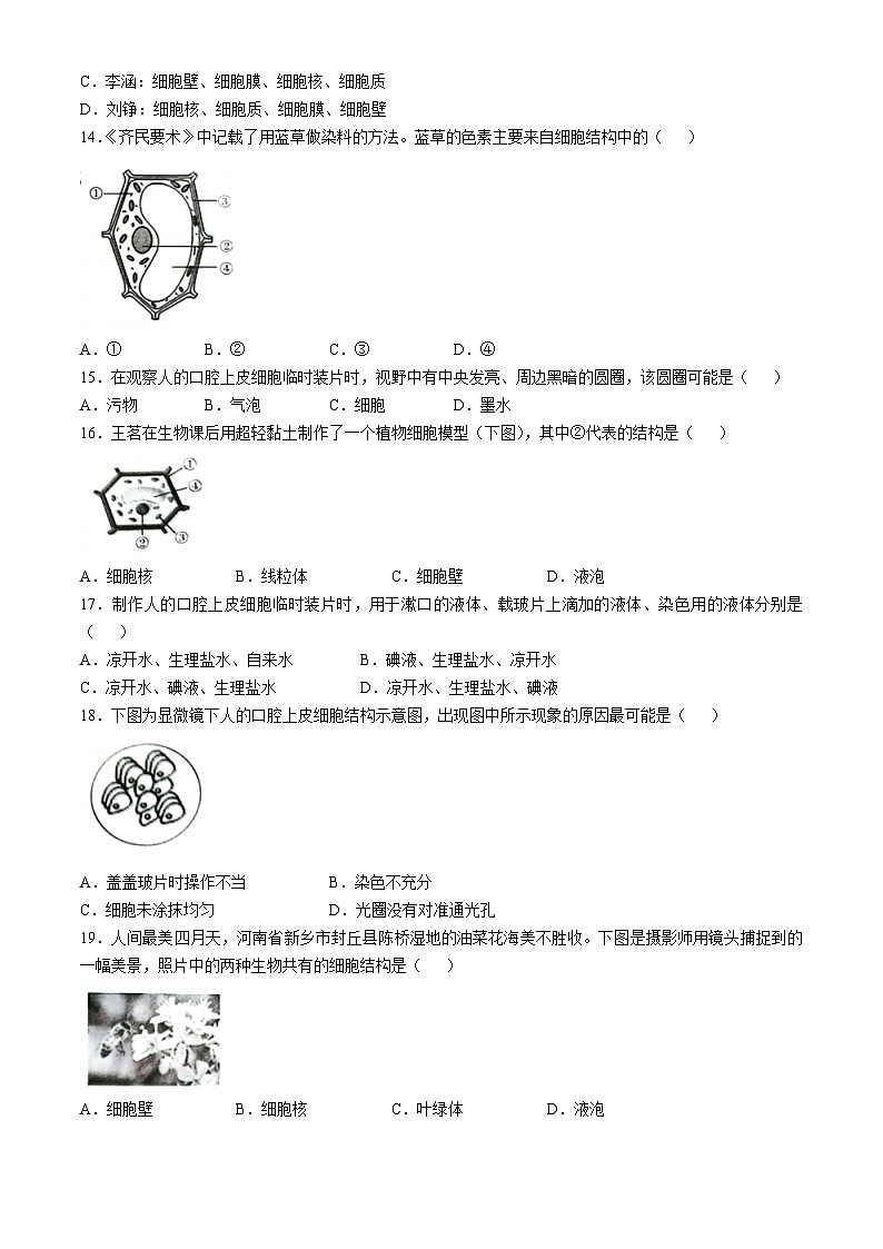 河南省南阳市方城县初中联考2024-2025学年七年级上学期10月月考生物试题(无答案)第3页