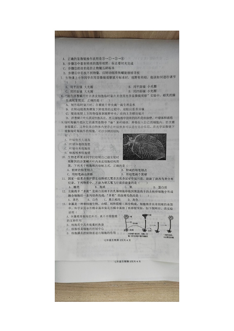 山东省临沂市费县探沂中学联考2024-2025学年七年级上学期第一次月考生物试题第2页