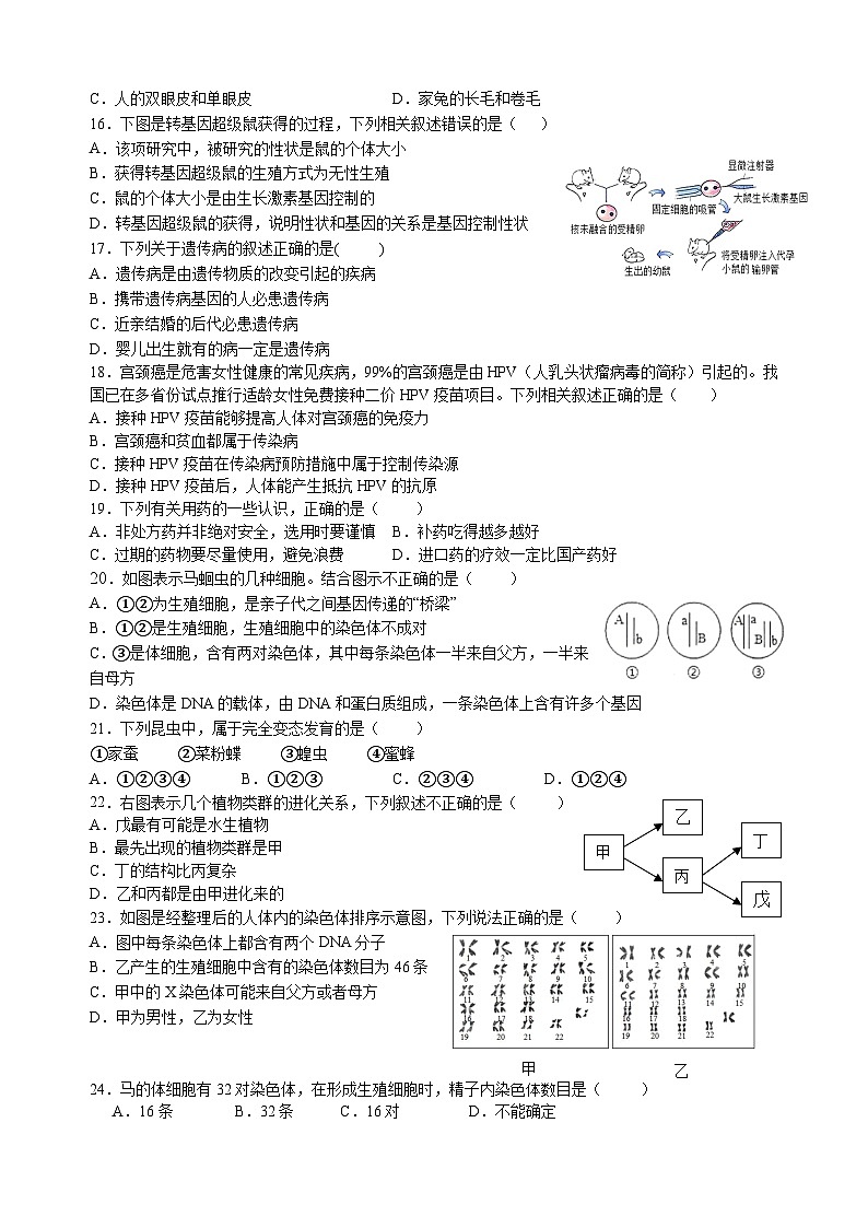广东省广州市第八十九中学2023-2024学年八年级下学期期中考试生物试题03