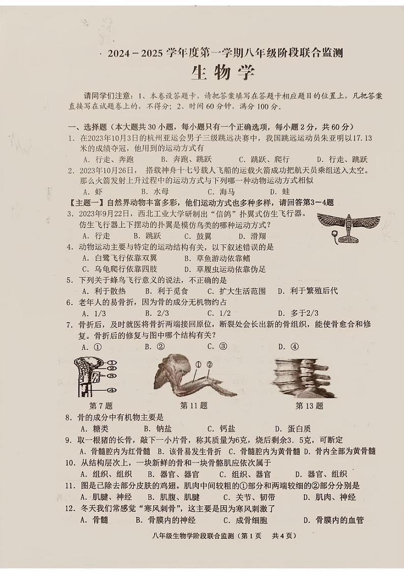 广东省揭阳市惠来县2024-2025学年八年级上学期第一次月考生物试题第1页