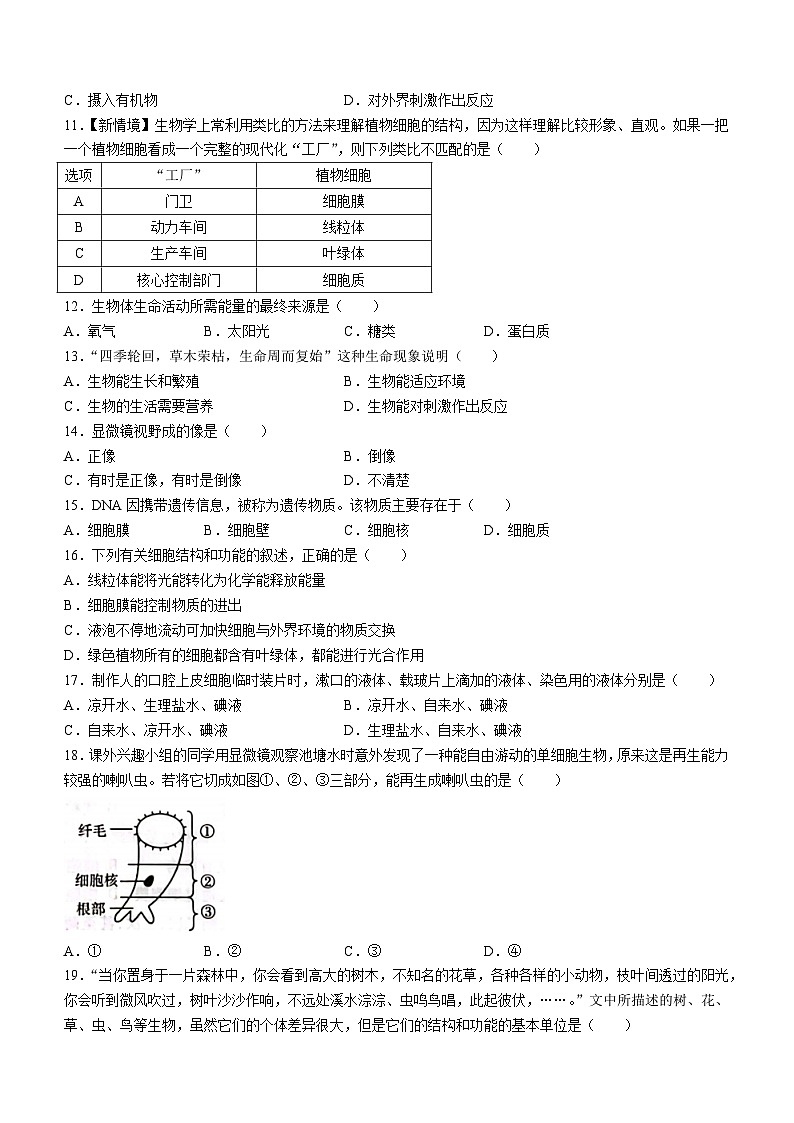 河北省沧州市南皮县桂和中学2024-2025学年七年级上学期第一次月考生物试题第2页