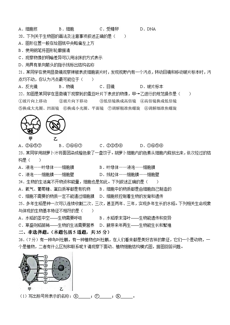 河北省沧州市南皮县桂和中学2024-2025学年七年级上学期第一次月考生物试题第3页