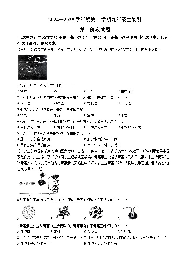 廣東省揭陽市普寧市2024-2025學年九年級上學期第一次月考生物試題(無答案)第1頁