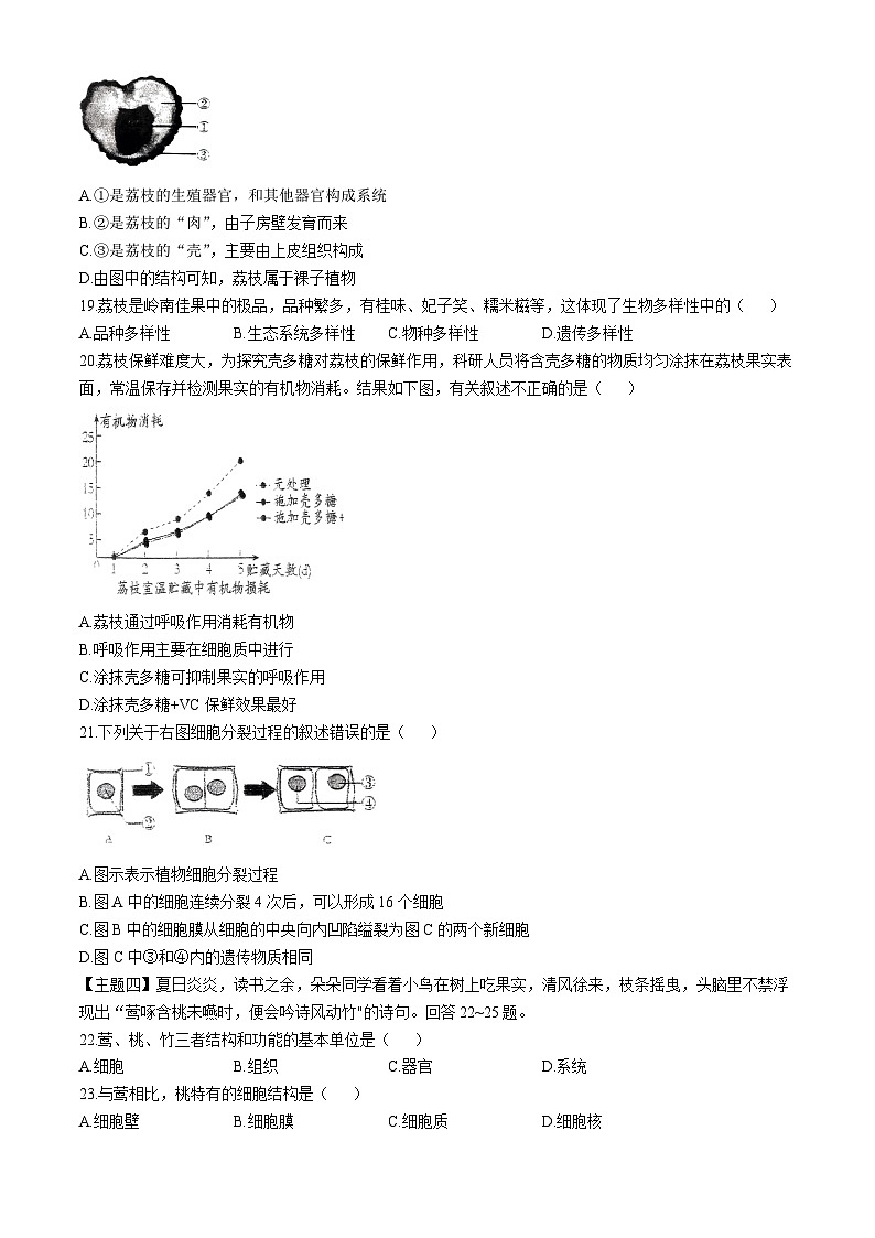 廣東省揭陽市普寧市2024-2025學年九年級上學期第一次月考生物試題(無答案)第3頁
