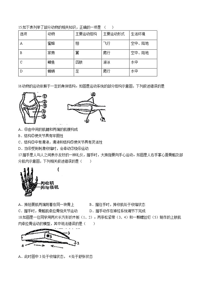 山东省青岛市即墨区第二十八中学2024-2025学年八年级上学期10月份月考生物试题(无答案)03