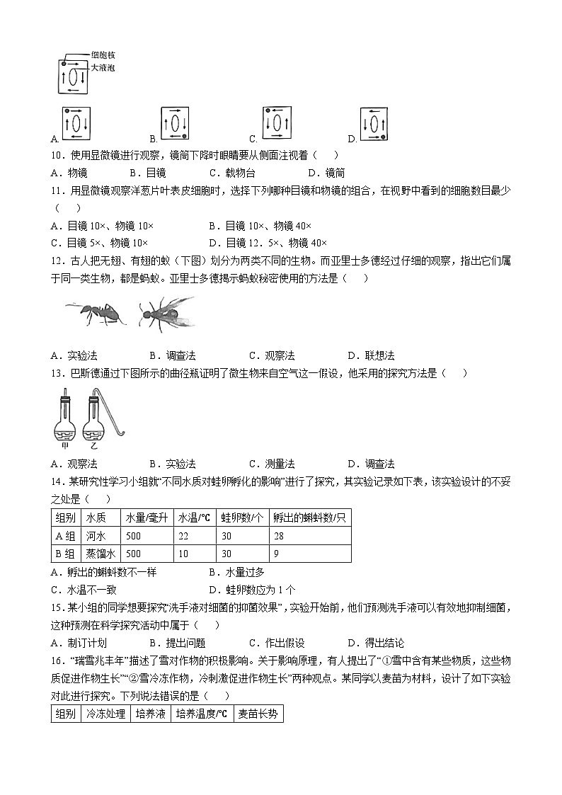 陕西省延安市志丹县县域2024-2025学年七年级上学期10月月考生物试题第2页
