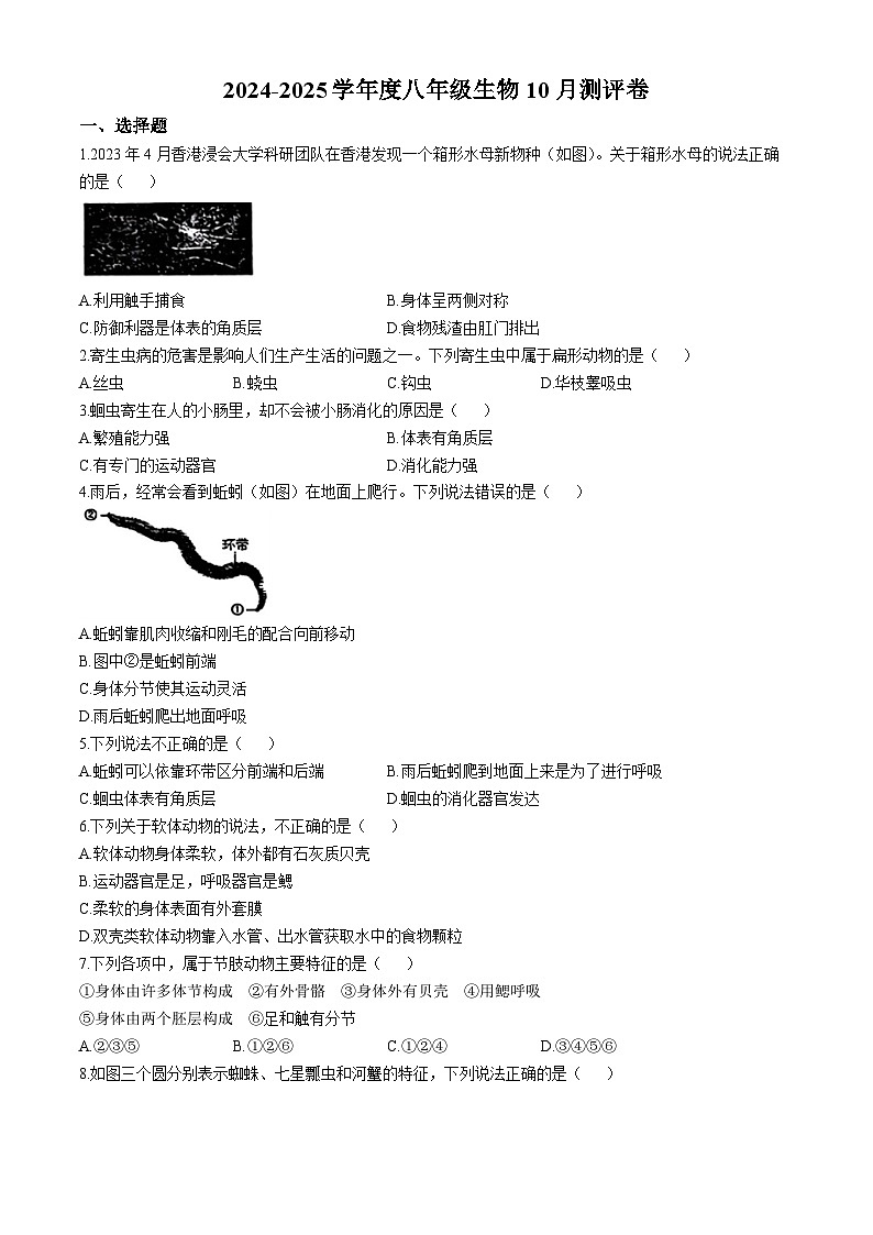 山东省临沂市兰山区北城实验学校等校2024--2025学年八年级上学期10月月考生物试题(无答案)第1页