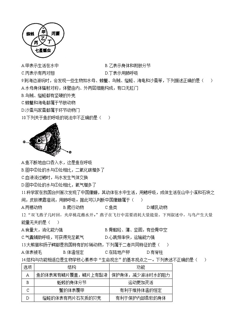 山东省临沂市兰山区北城实验学校等校2024--2025学年八年级上学期10月月考生物试题(无答案)第2页