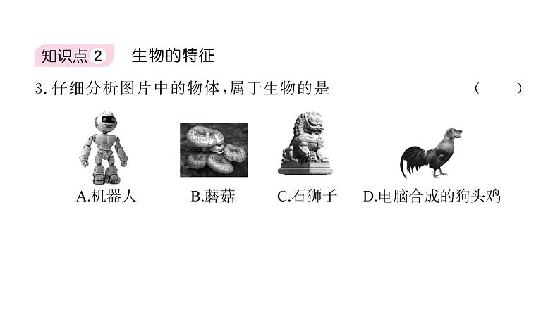 1.1.1观察周边环境中的生物&1.1.2生物的特征 习题课件--2024-2025学年人教版(2024)生物七年级上册第7页