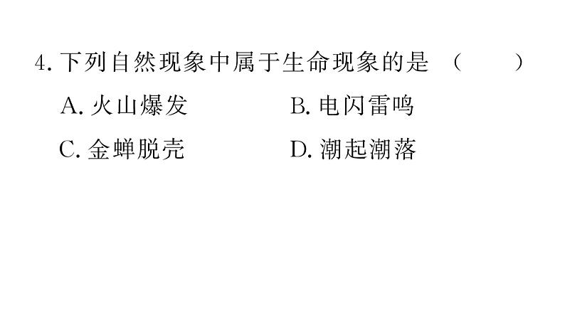 1.1.1观察周边环境中的生物&1.1.2生物的特征 习题课件--2024-2025学年人教版(2024)生物七年级上册第8页