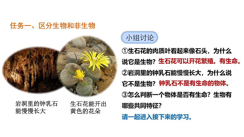 1.1.2 生物的特征课件 2024-2025学年人教版(2024)生物七年级上册第7页