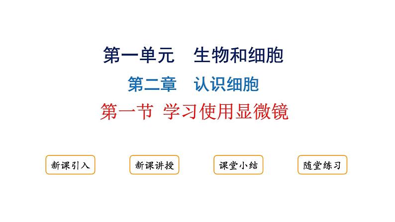 1.2.1学习使用显微镜课件---2024-2025学年人教版(2024)生物七年级上册01