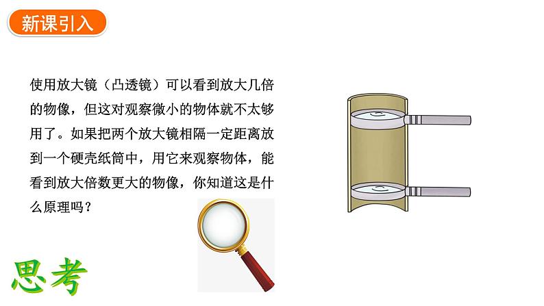 1.2.1学习使用显微镜课件---2024-2025学年人教版(2024)生物七年级上册03