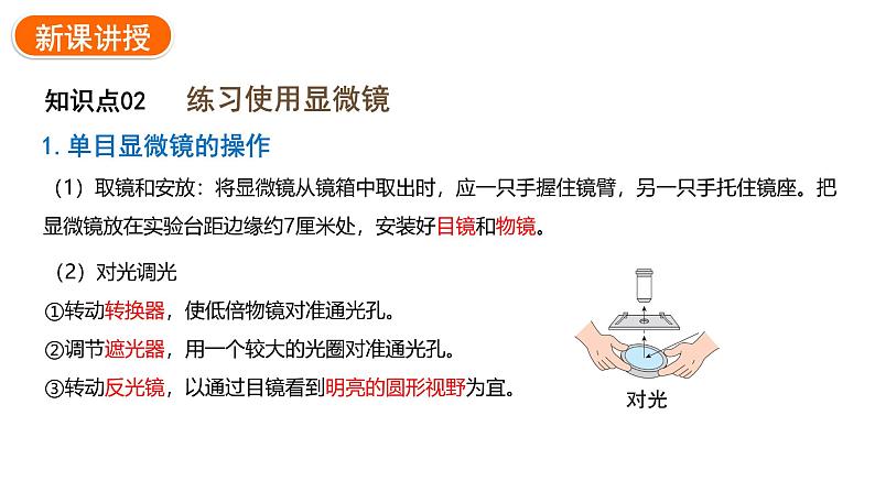 1.2.1学习使用显微镜课件---2024-2025学年人教版(2024)生物七年级上册07