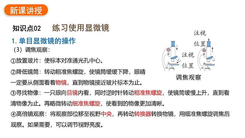 1.2.1学习使用显微镜课件---2024-2025学年人教版(2024)生物七年级上册08