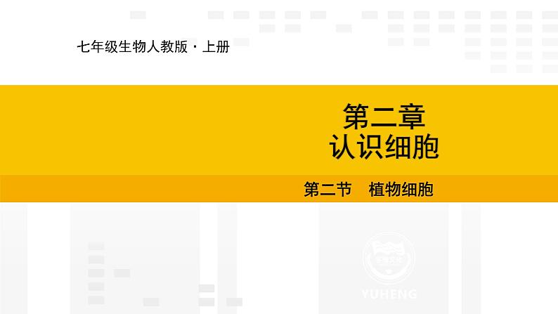 1.2.2 植物细胞 课件---2024-2025学年人教版(2024)生物七年级上册01