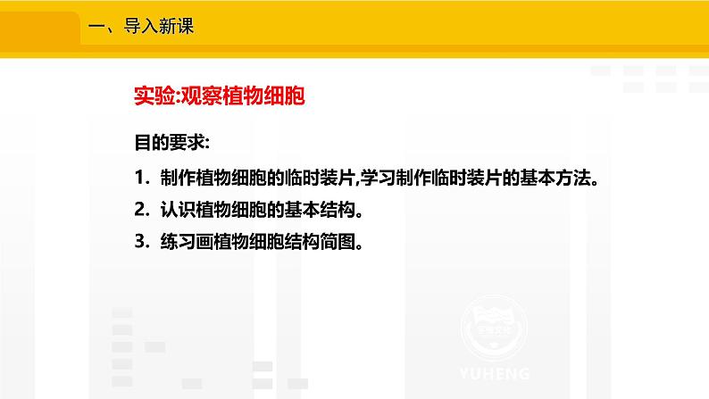 1.2.2 植物细胞 课件---2024-2025学年人教版(2024)生物七年级上册03