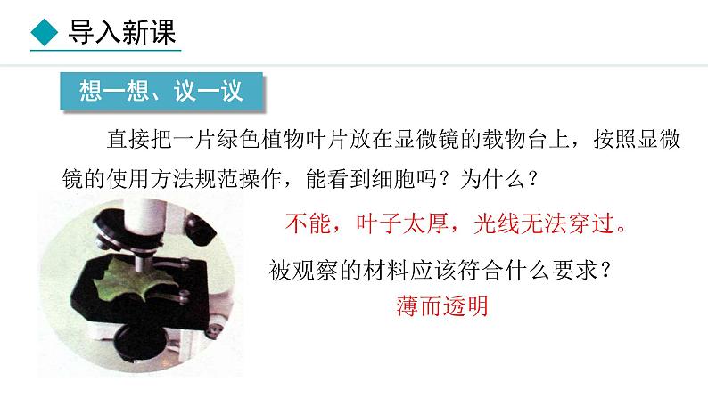 1.2.2 植物细胞课件---2024-2025学年人教版(2024)生物七年级上册第2页