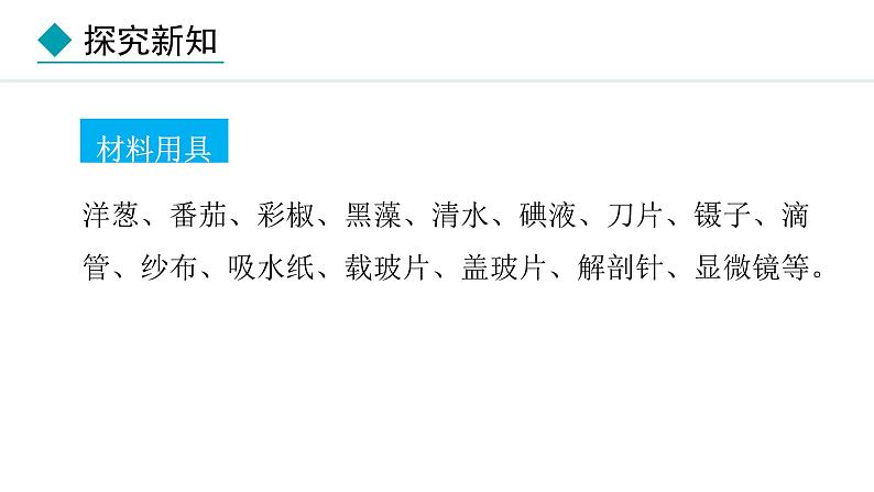 1.2.2 植物细胞课件---2024-2025学年人教版(2024)生物七年级上册第6页
