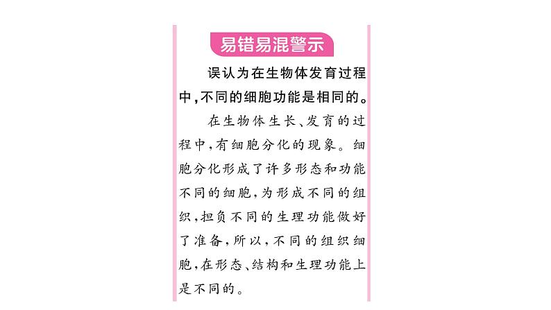 1.3.2 动物体的结构层次 习题课件---2024-2025学年人教版(2024)生物七年级上册第3页