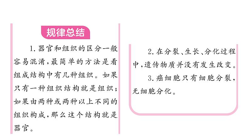 1.3.2 动物体的结构层次 习题课件---2024-2025学年人教版(2024)生物七年级上册第4页
