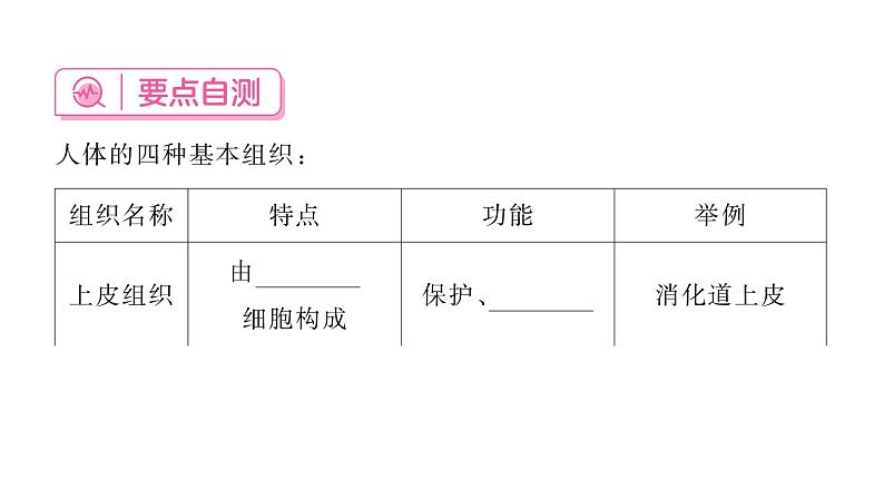 1.3.2 动物体的结构层次 习题课件---2024-2025学年人教版(2024)生物七年级上册第5页