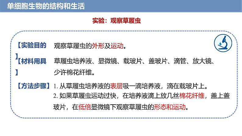 1.3.4 单细胞生物课件---2024-2025学年人教版(2024)生物七年级上册第6页