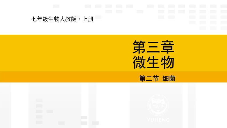2.3.2 细菌 课件---2024-2025学年人教版(2024)生物七年级上册01