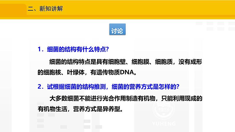 2.3.2 细菌 课件---2024-2025学年人教版(2024)生物七年级上册08