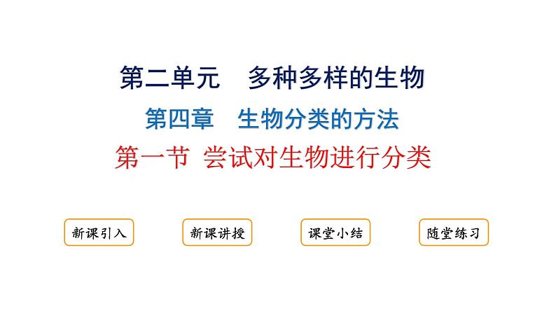 2.4.1 尝试对生物进行分类 课件---2024-2025学年人教版(2024)生物七年级上册01