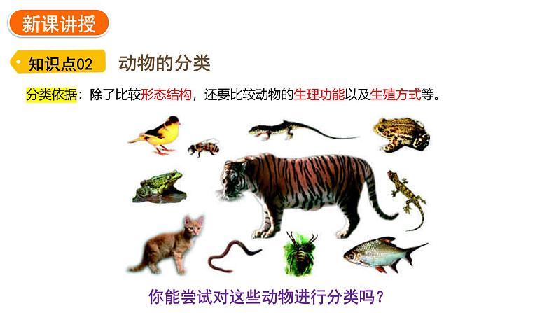 2.4.1 尝试对生物进行分类 课件---2024-2025学年人教版(2024)生物七年级上册06