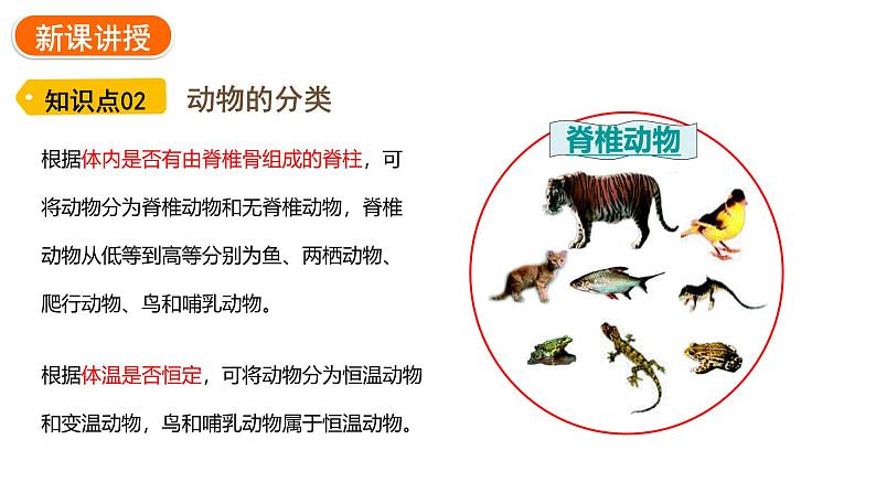 2.4.1 尝试对生物进行分类 课件---2024-2025学年人教版(2024)生物七年级上册07