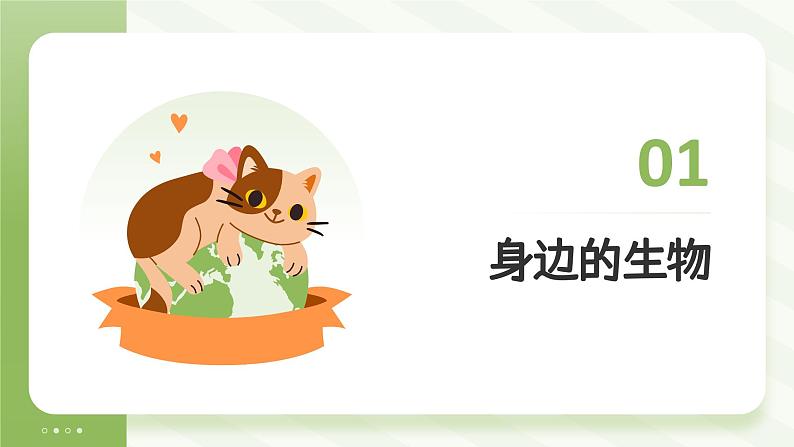 开学第一课主题课件---2024-2025学年人教版(2024)生物七年级上册04