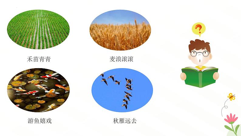 开学第一课主题课件---2024-2025学年人教版(2024)生物七年级上册05